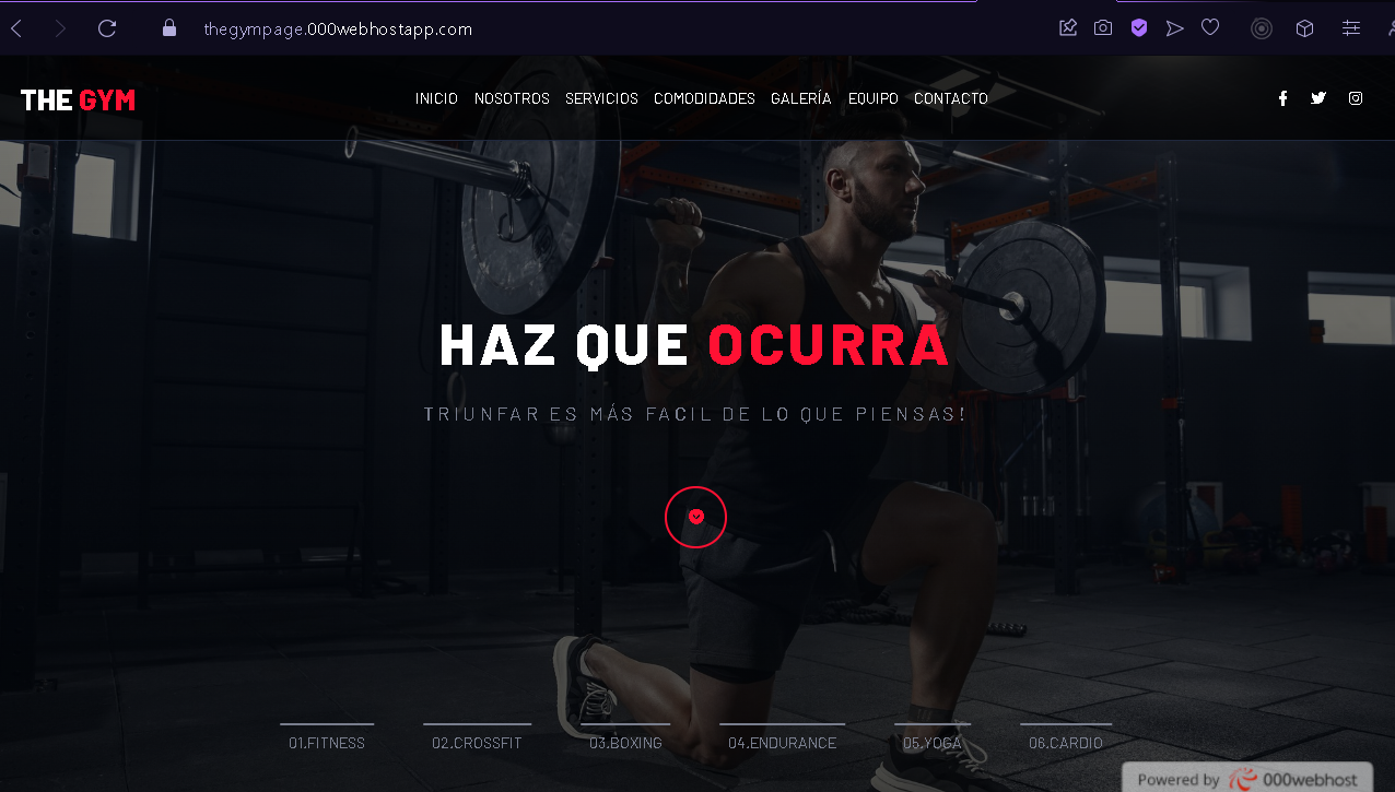 pantallazoTheGYM